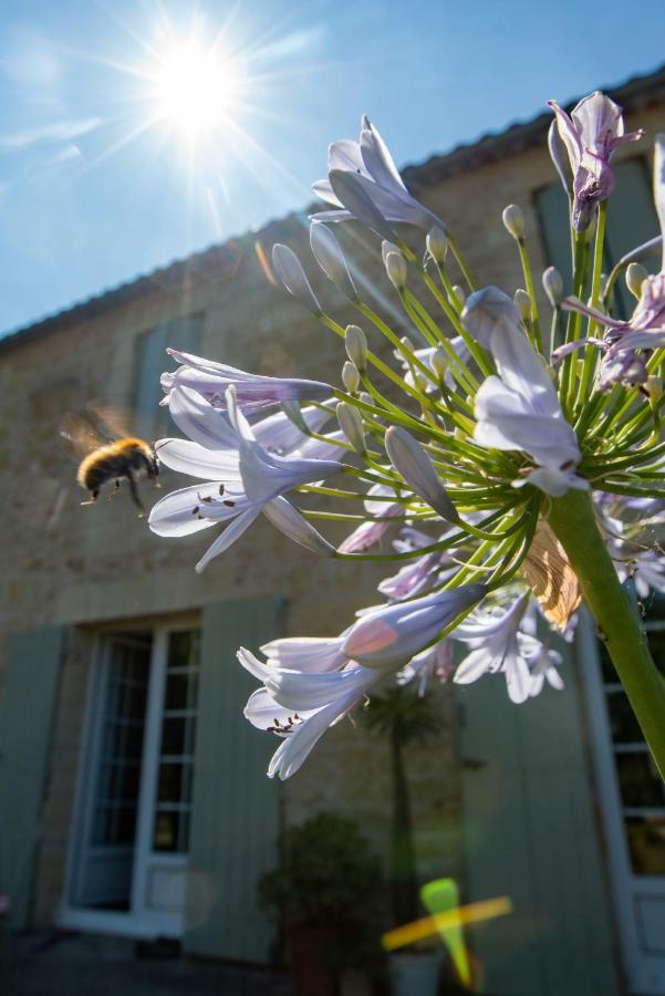 Gite Entre Bordeaux Et Saint-Emilion Genissac Экстерьер фото
